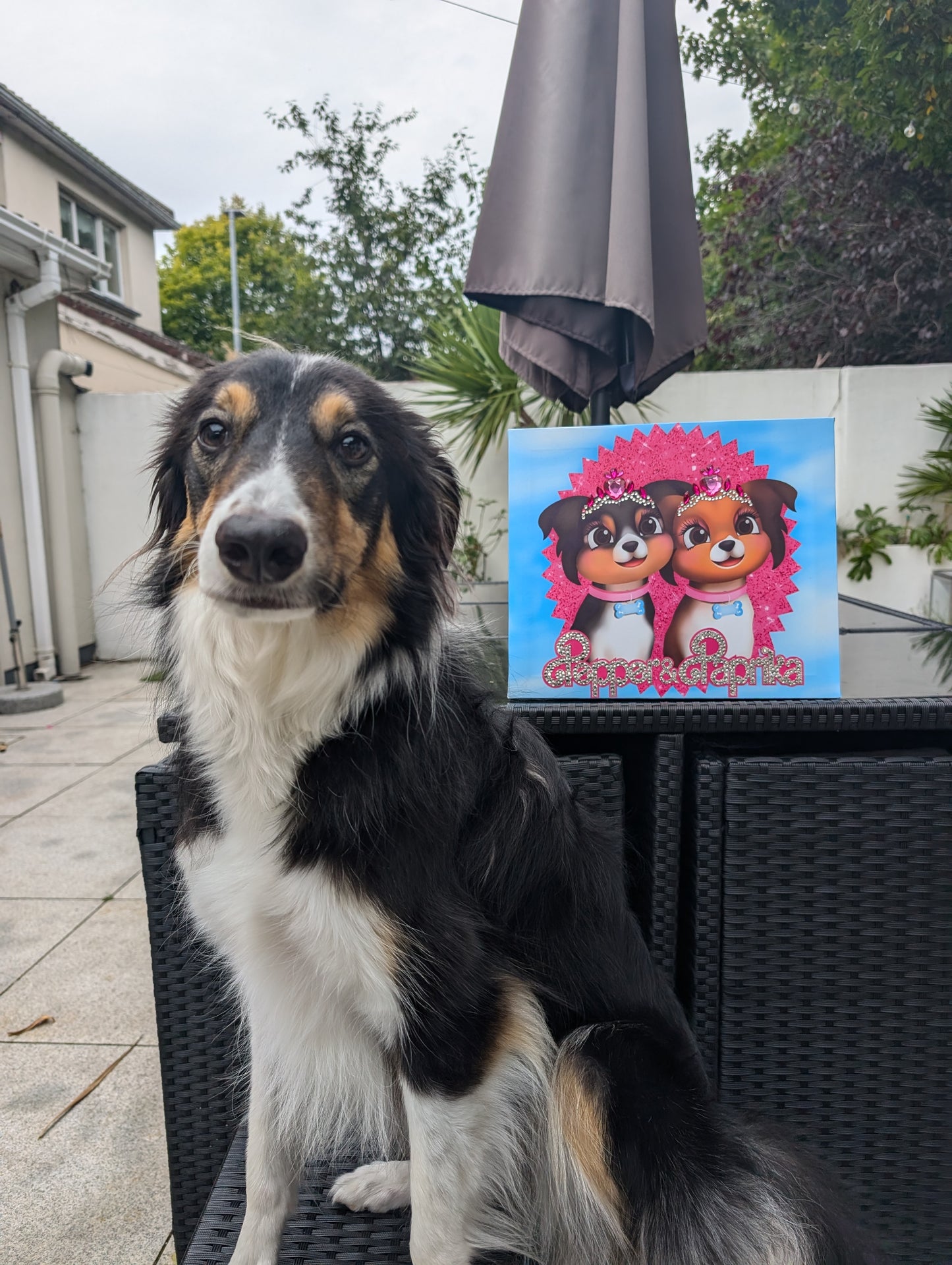 Custom Barbie Pet Portraits