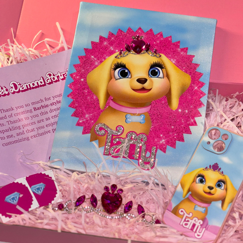 Custom Barbie Deluxe Gift Set