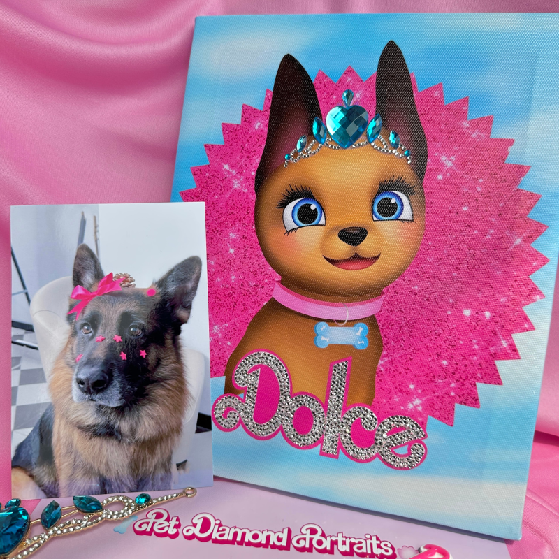 Custom Barbie Pet Portraits