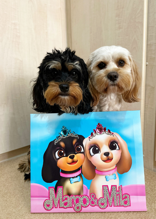 Custom Barbie Pet Portraits